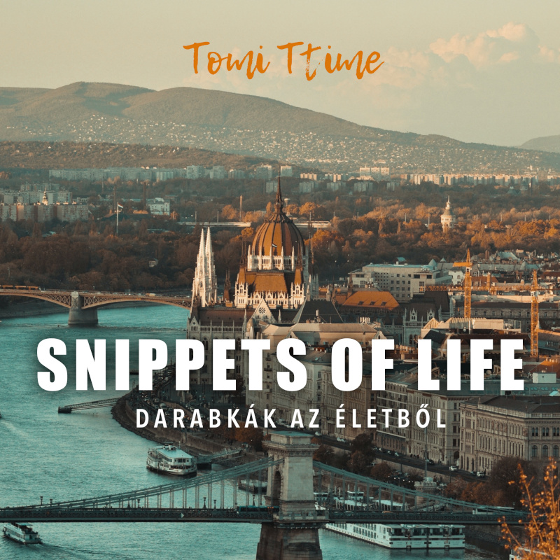 Snippets of Life PDF book only - includes 9 stories